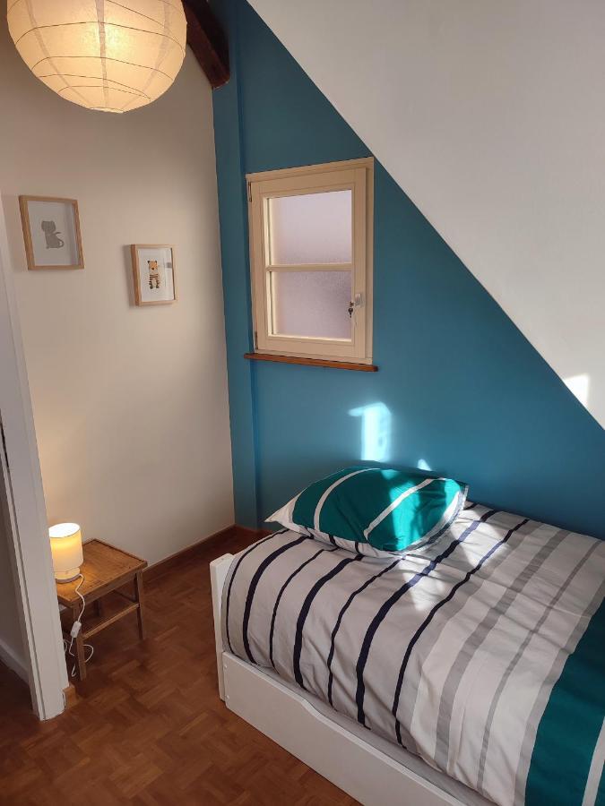 Confortable Appartement Au Centre De Sélestat Eksteriør billede
